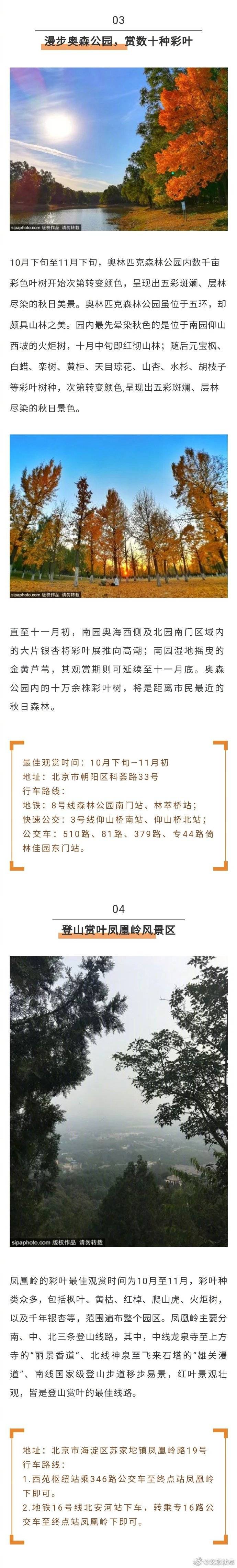 叶指南|2020北京秋季赏叶指南！