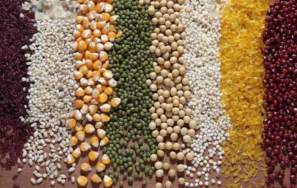 世界主要粮食有哪些 84de033ec14b41bd88a8ba572b2f5da5.jpeg