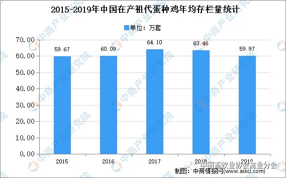 鸡蛋人均消费_鸡蛋卡通图片(3)