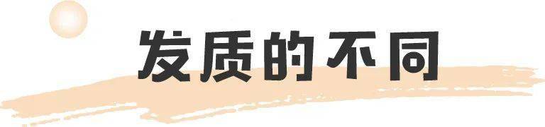 陈思诚|佟丽娅婚变实锤?公开牵手小鲜肉:再见了,陈思诚!