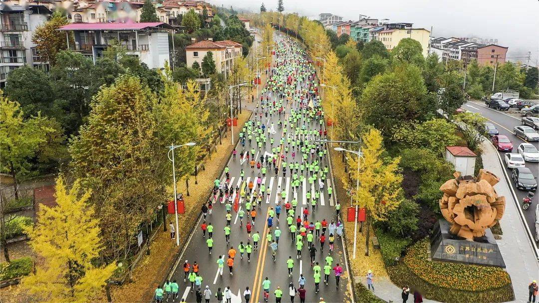 武隆区2020年gdp_武隆区凤来新城规划图(2)