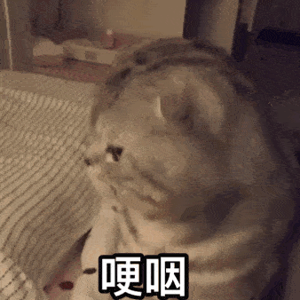 动态表情包大全 | 收藏走一波