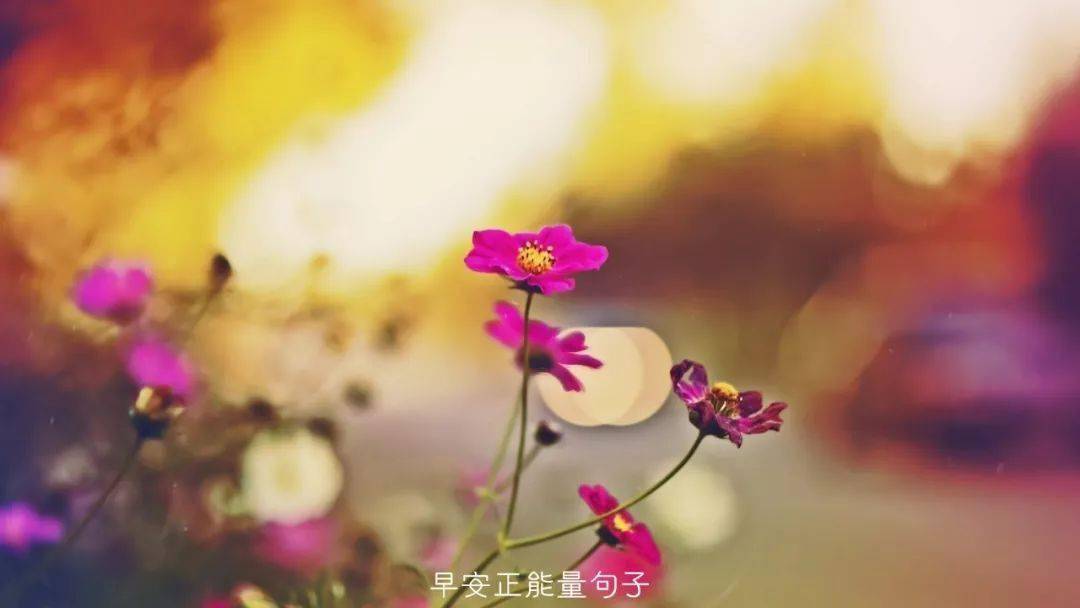 早安心语优美的语句 最温暖的早安心语