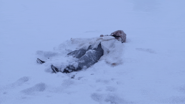 【趣游冬雪】乌兰布统雪原长城脚下星空小镇司马台长城6日精选活动