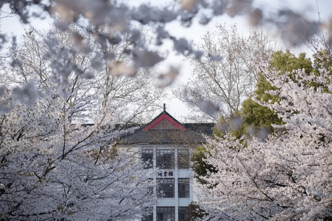 南京|太牛了!南京高校这些学科排名全国第一!