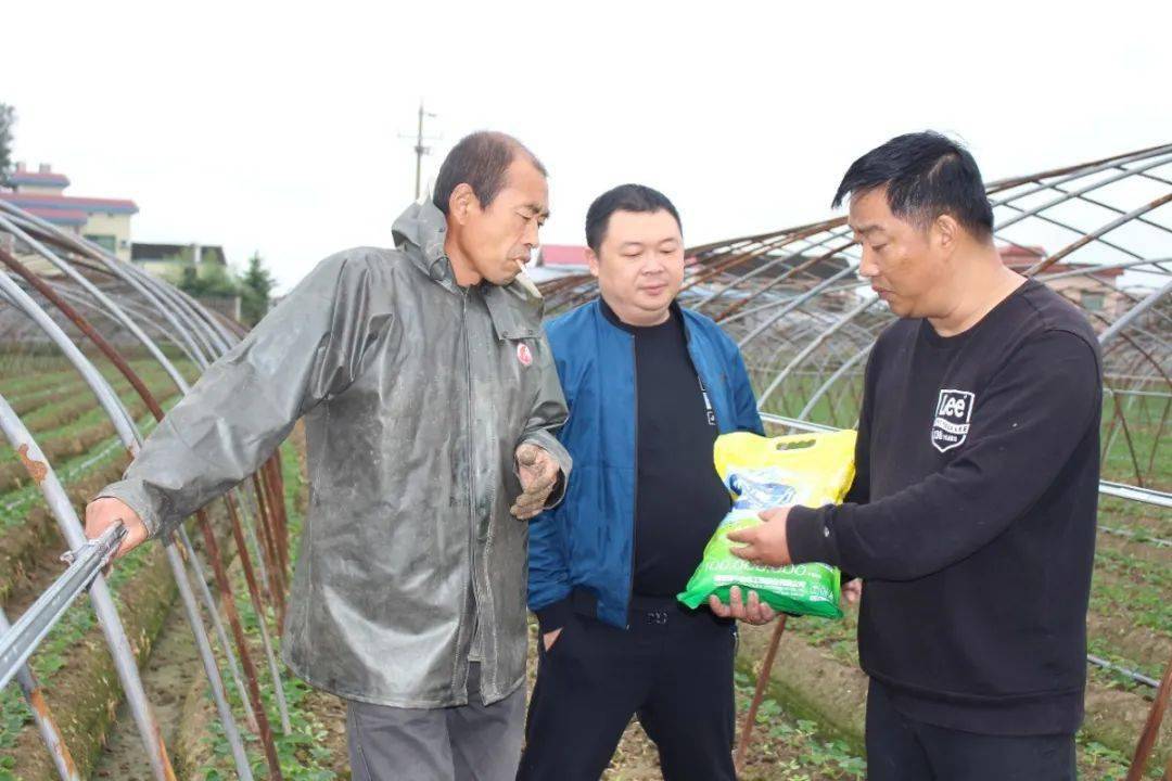 鄂中仟金方、水魔力长沙周边草莓种植基地推广侧记！