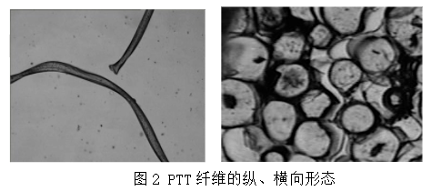 如何鉴别氨纶ptt及t400这三种弹性纤维