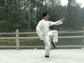 防治三高,太极拳这个动作最管用,快快动起来!