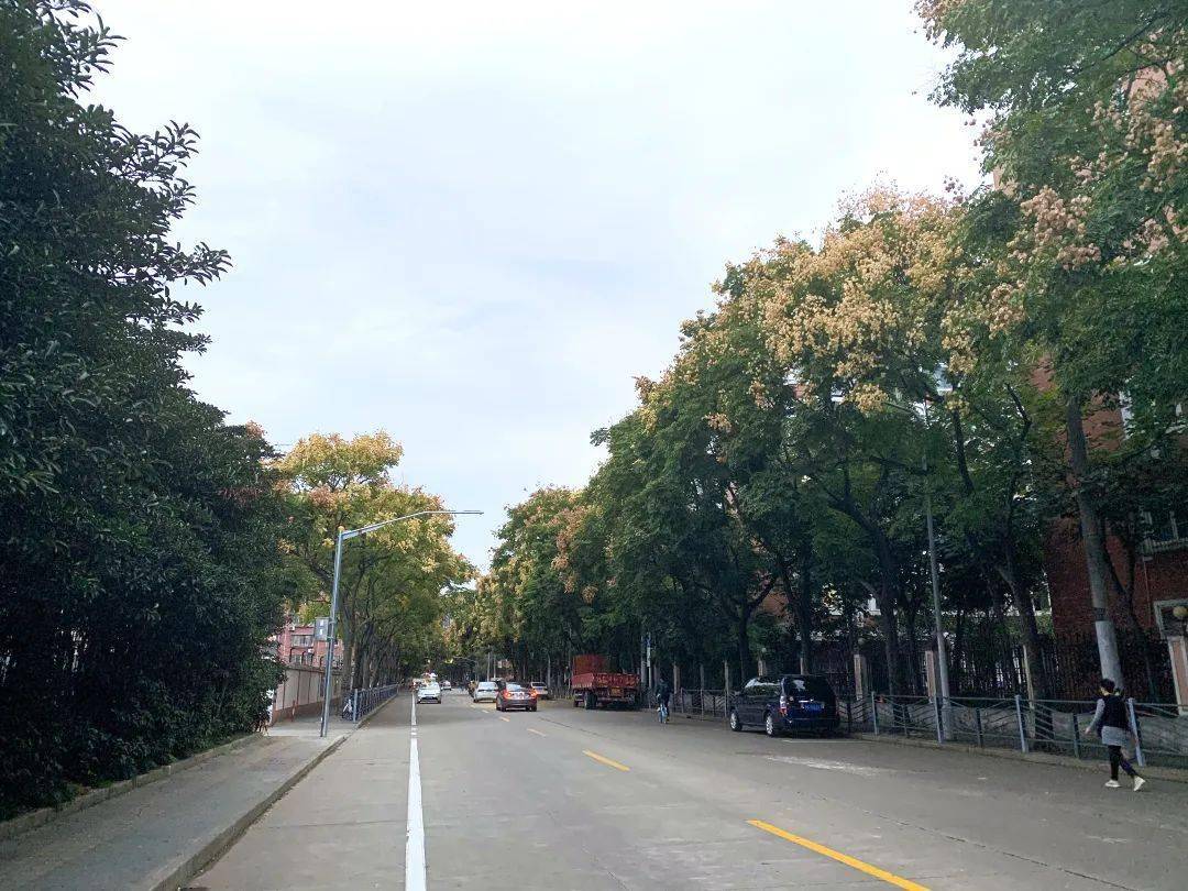 东泉路(石龙路—罗城路)