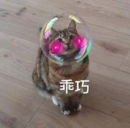 “外卖商家：你这图拍的比差评还吓人！”哈哈
