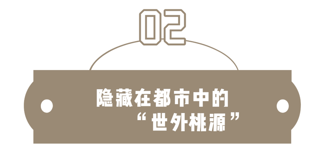 芦荟|薅羊毛啦！59.9元抢芦荟灌肤+滋养水疗+头皮清洁养护！谁做谁赚谁少女！