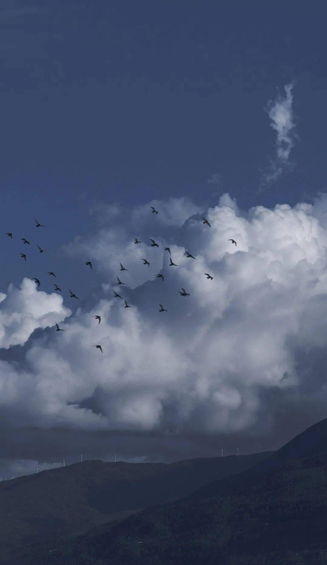 饱和度|超治愈的蓝色调，这样后期百看不腻！