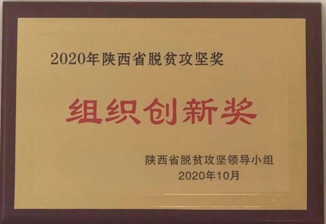 宜君县荣获2020年陕西省脱贫攻坚奖组织创新奖荣誉称号