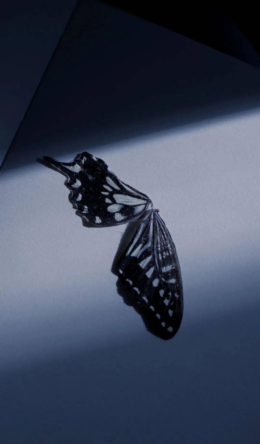 饱和度|超治愈的蓝色调，这样后期百看不腻！