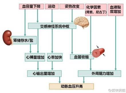 漫画图解"高血压",一文搞定!