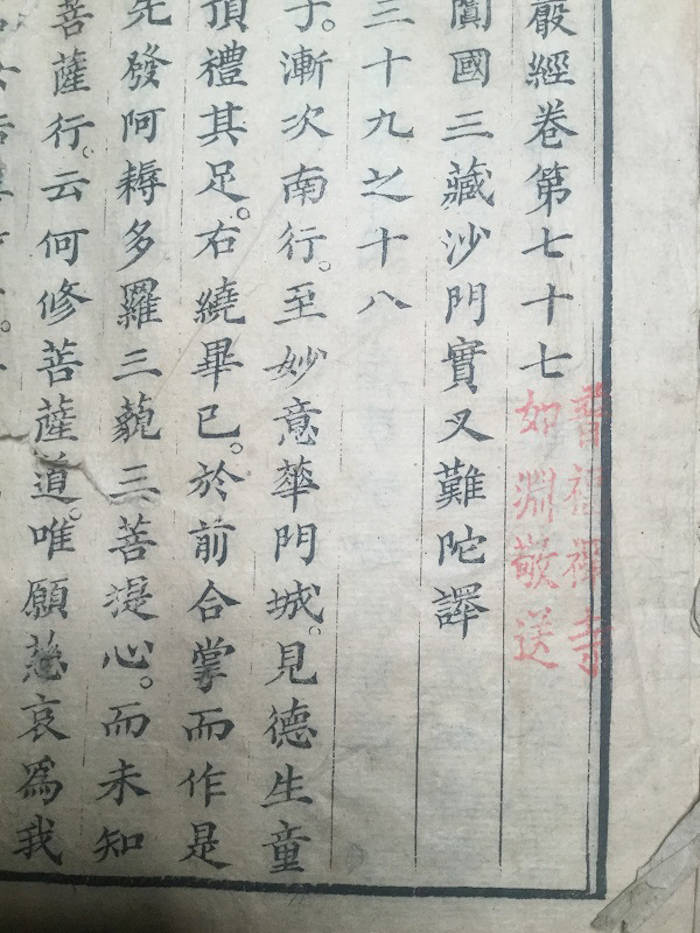 安人|高山杉|一本残书引起的一系列发现