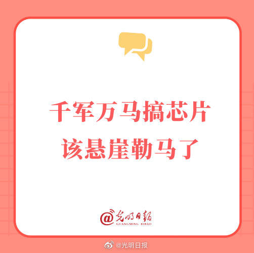 千军万马搞芯片该悬崖勒马了