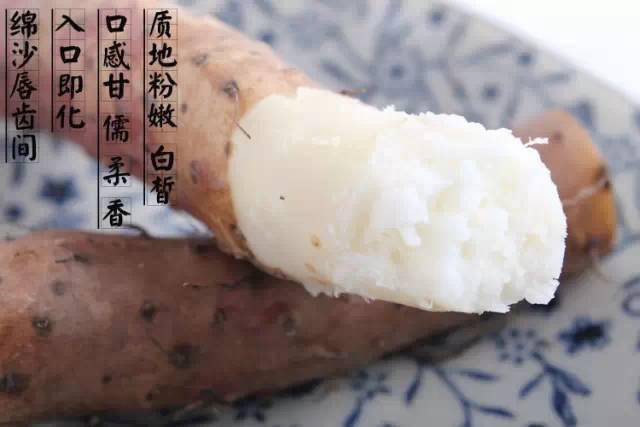 山药的作用与功效减肥 487da616b7994db1aed1ca7cdd616e45.jpeg