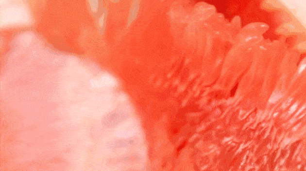 精华|老板不在家！这次放血大促你可以过来看一下！