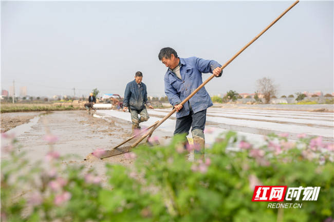 湖南|“湖南好粮油”产品名单来了！36家企业的39款产品上榜