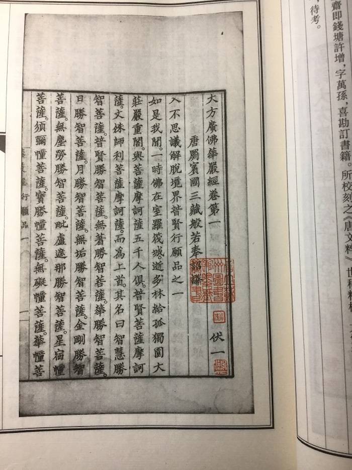 安人|高山杉|一本残书引起的一系列发现