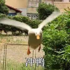 成分|脸上的晒斑、痘印比蛋壳还“脏”......还有救吗？！