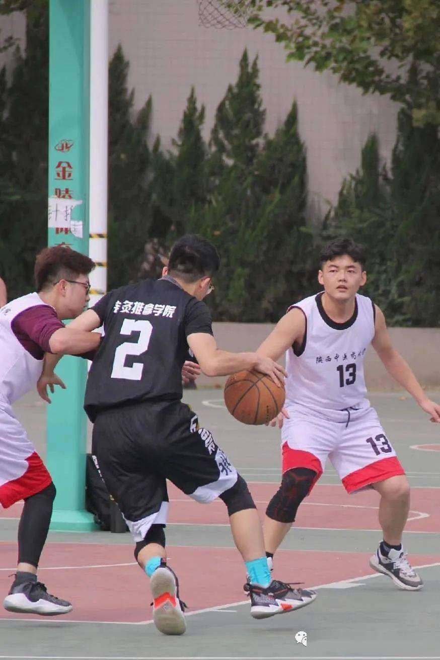 【panda sports】
球场激情洒汗水 针推男篮No. I(图5)