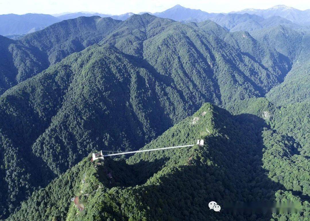 4b96587889f547ffa12f4071bef082ce.jpeg