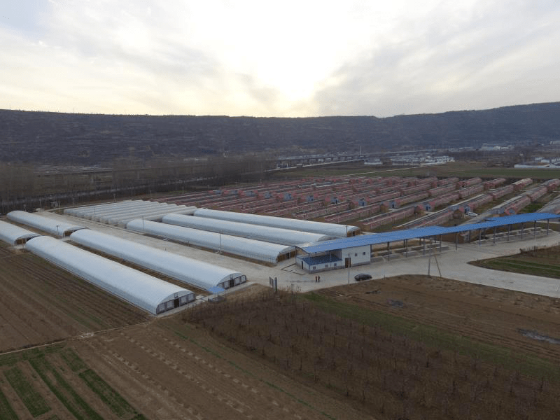 灵宝gdp_灵宝天尊图片(2)