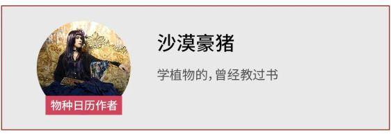 黄栌|龙袍之所以是黄的,主要还是因为皇帝太任性