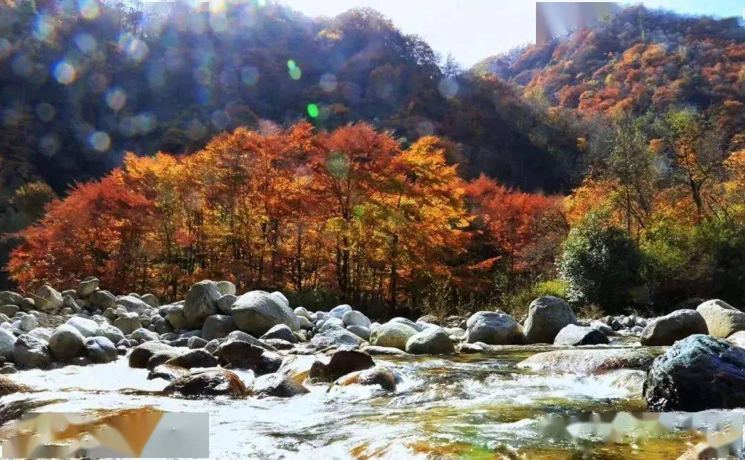 红叶最浓层林尽染来青川唐家河进行一场秋日之旅