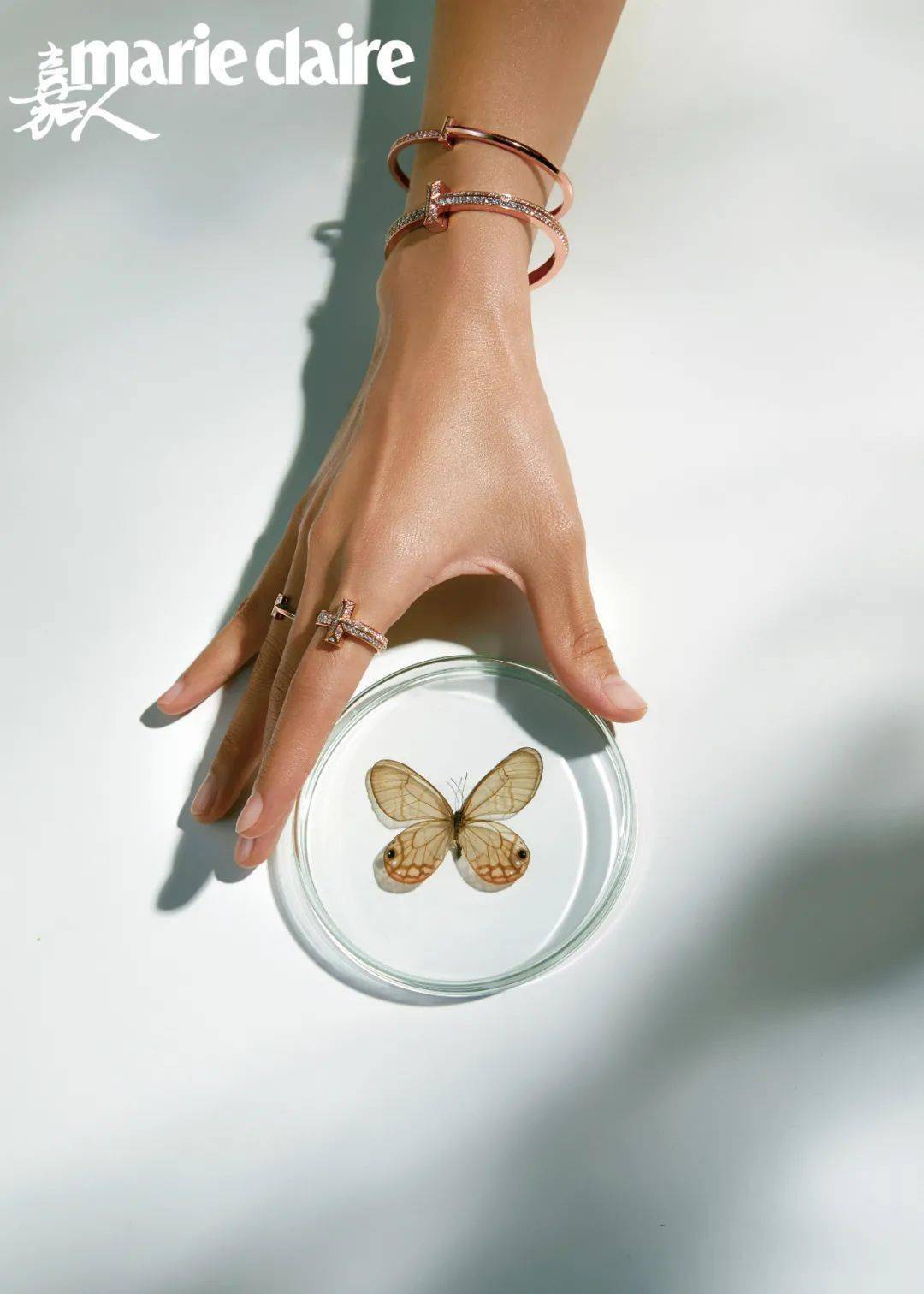 榜单|2020嘉人百大赏完整版榜单重磅来袭——珠宝腕表篇