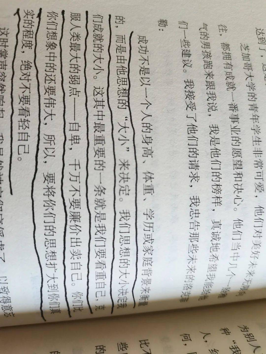 c3ba31018dd9410a90a691dc462e1078.jpeg