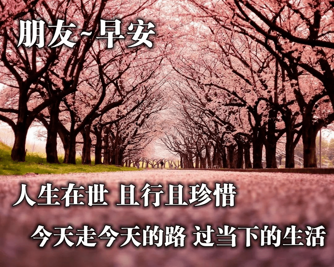 最美霜降早上好问候语阳光句子,早上好祝福语带图