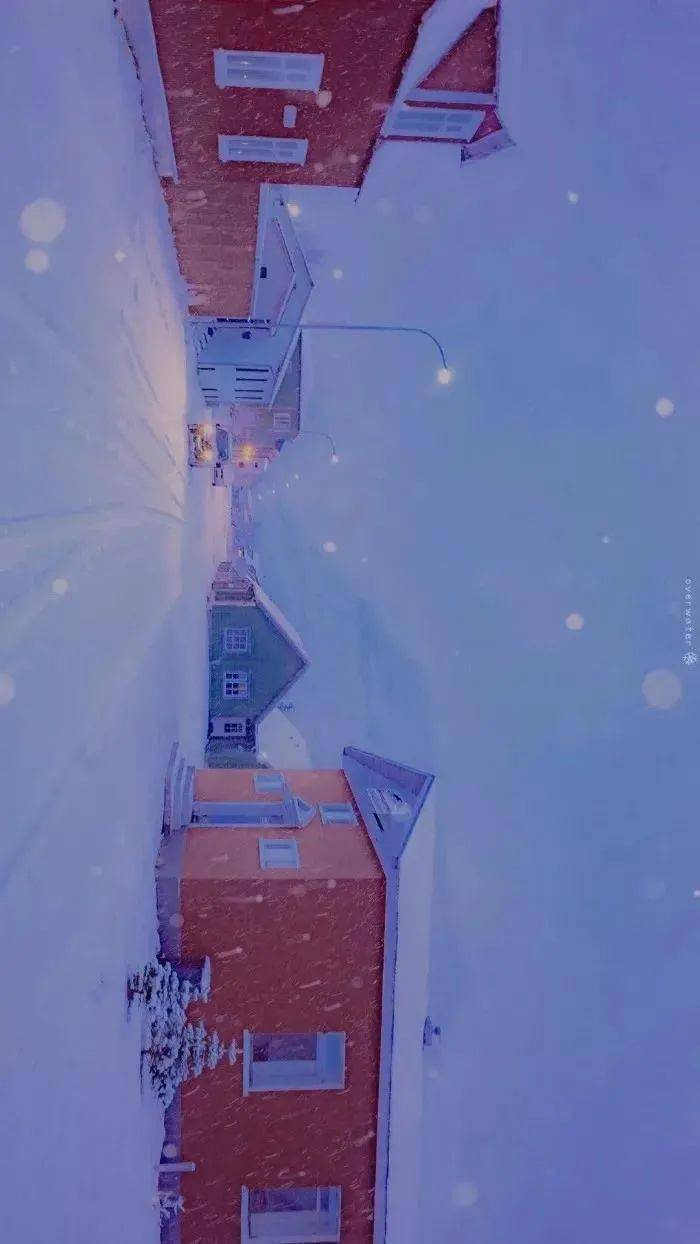 0bdf0707e175476ba2f8d99c03c29c9b.jpeg