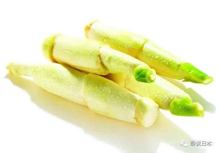 徐静波：日本为啥没有茭白？