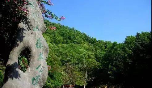 板障山
