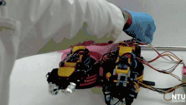 当机器人拥有痛觉后......