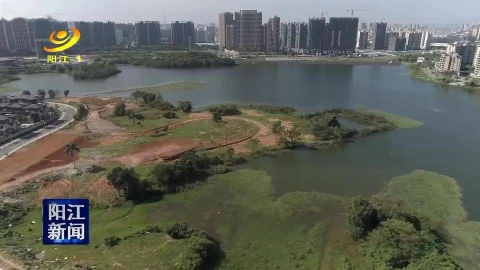 景观长廊!阳江共青湖公园环湖道路建设全面展开