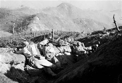 志愿军|一根布满弹痕的树干,见证68年前那场激烈战斗……