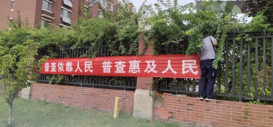 街道多举措人口普查_人口普查(3)