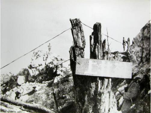 志愿军|一根布满弹痕的树干,见证68年前那场激烈战斗……