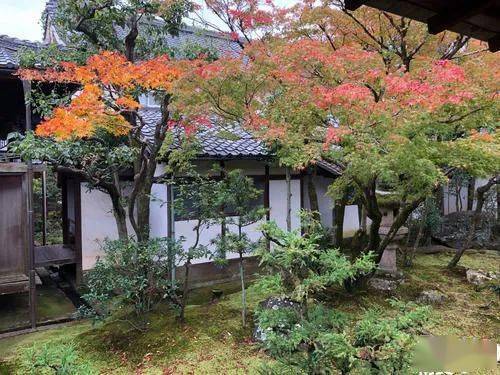 京都龙安寺枯山水的极致禅意