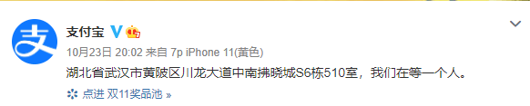 房地产业|刚刚宣布:双十一"送房"了!网友:房不胜防