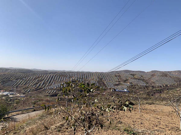 唤活一片荒山 巩固脱贫成果