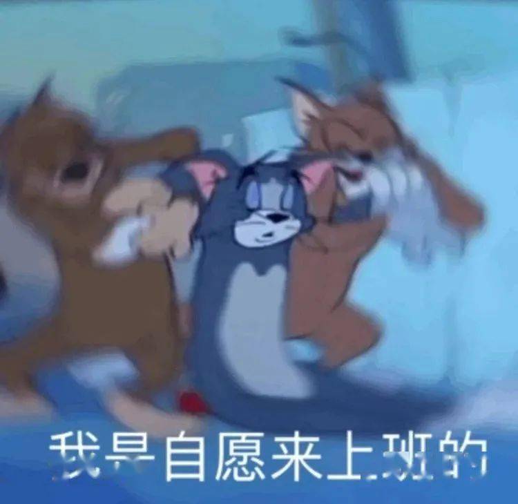 搞笑傻雕表情包丨早安打工人