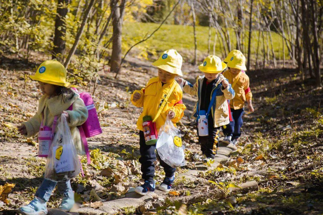 艾利芬特幼儿园自然教育之森林公园户外探索之行