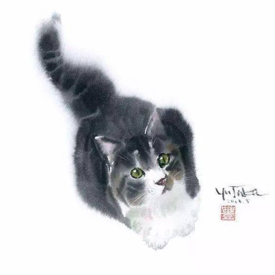 把猫画得很出彩的水彩画家