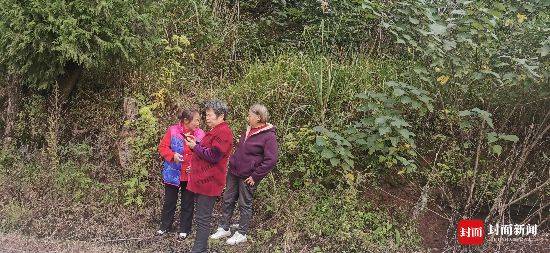 四川西充失联化学老师在埋葬爷爷的山头自缢身亡