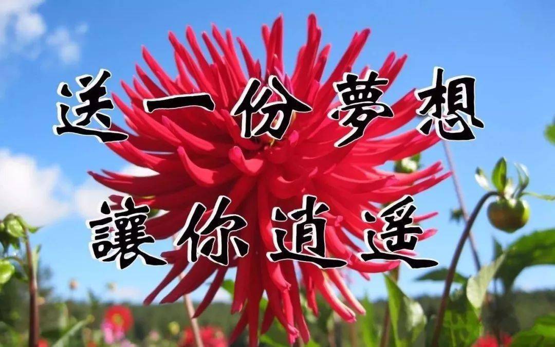 九九重阳节,愿你幸福九九,好运九九,重阳节快乐!_祝福